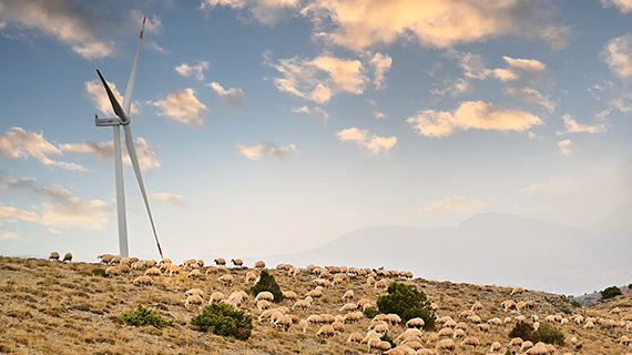 Erciyes RES | Enerjisa Üretim