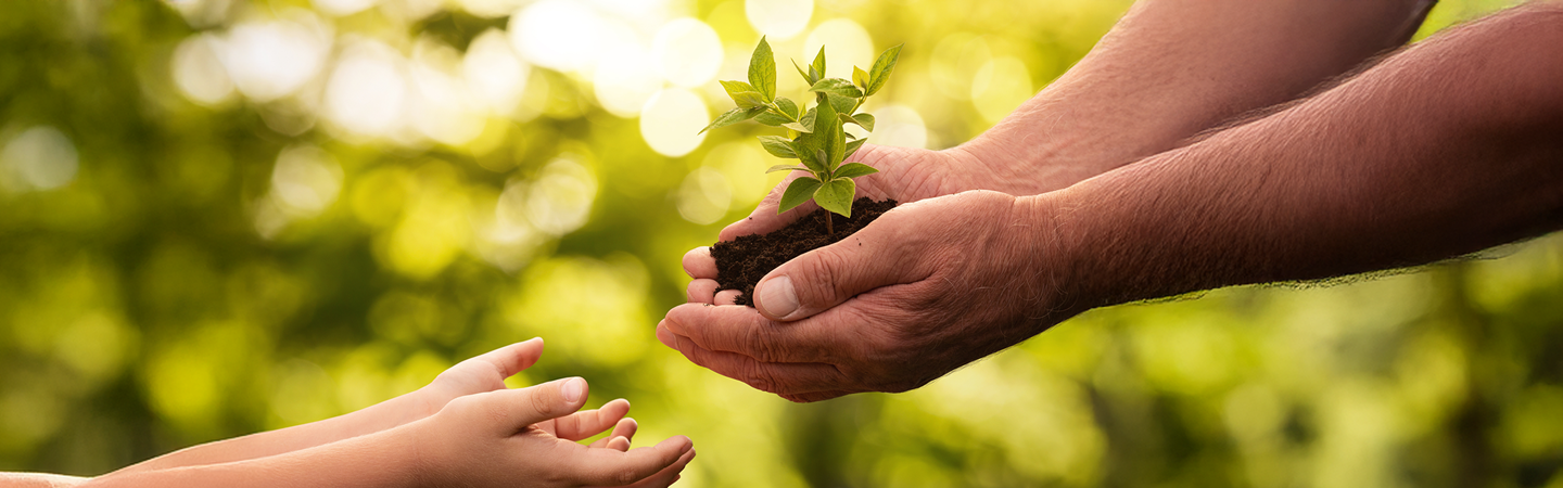 İnsan Hakları Süreçlerini Şimdi Keşfedin | Enerjisa Üretim